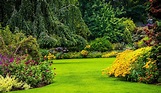 Lawn Wallpapers - Top Free Lawn Backgrounds - WallpaperAccess