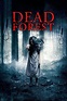Grave Halloween (2013) - Posters — The Movie Database (TMDb)