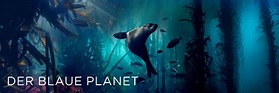Der blaue Planet: Doku-Serie im TV, Live-Stream und online verfolgen ...