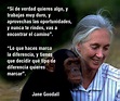 La increíble reflexión de Jane Goodall que no ha dejado a nadie ...