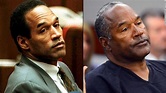 The O.J. Simpson Case: Other Killer Theories