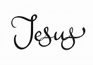 Jesus text on white background. Calligraphy lettering Vector ...