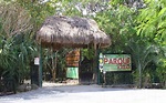 Parque Kabah, un área natural protegida en medio de Cancún | Novedades ...