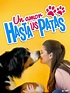 Prime Video: Un amor hasta las patas