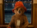 Paddington, film review: Choppy and episodic | The Independent | The ...