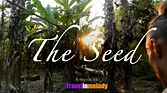 THE SEED-complete movie-2015 by TRAVELINMELODY - YouTube