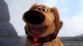 Películas de perros animados, las mejores | Cine PREMIERE