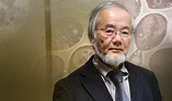 Yoshinori Ohsumi Wins US$3M Breakthrough Prize In Life Sciences - Asian ...