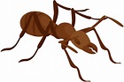 Ant Clipart at GetDrawings | Free download