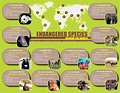 In pictures the ten most endangered animals in africa infographic – Artofit