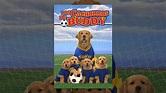 Los cachorros de Buddy - YouTube