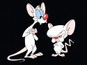 10+ Pinky And The Brain HD Wallpapers | Achtergronden