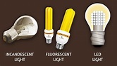 Light bulbs, what should we choose? - Ecogal