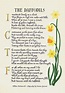 Daffodils Famous poem by William Wordsworth I wandered | Etsy