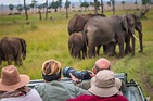 The 10 Best Places for African Safari Tours - Green Global Travel