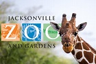 Jacksonville Zoo and Gardens - Go On a Walking Safari!