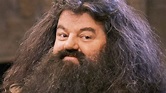 Robbie Coltrane, Hagrid in Harry Potter, Dead at 72