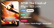 NTSB: The Crash of Flight 323 (film, 2004) - FilmVandaag.nl