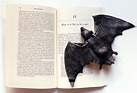 Philosophy by the Way: What is it like to be a bat?