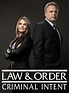 Watch Law & Order: Criminal Intent Online | Season 6 (2006) | TV Guide