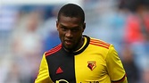 Impossible to restart Premier League on June 12, says Watford's ...