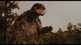 All 12 Gamera Movies Ranked From Worst To Best – Taste of Cinema ...