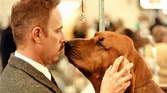Ver. Very important perros (2000) Película Online Completa en HD y ...
