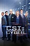 CSI: Cyber (TV Series 2015-2016) - Posters — The Movie Database (TMDB)