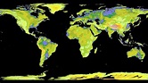 NASA crea mapa que muestra el posible incremento del nivel del mar