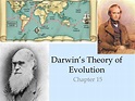 PPT - Darwin’s Theory of Evolution PowerPoint Presentation, free ...