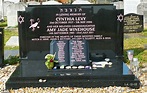 Pai de Amy Winehouse fica em prantos ao visitar seu túmulo