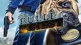 Der Bulle und das Biest - Serie - SAT.1