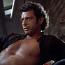 Why Jeff Goldblum Just Recreated His Iconic Shirtless Scene From ...