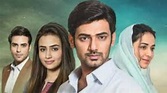 Watch Zara Yaad Kar Season 1 Episode 9 - Episode 9 Online Now