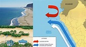 Qué es la corriente de El niño y cómo se origina | El Popular