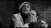 Movie Review: Young Frankenstein (1974) | The Ace Black Movie Blog