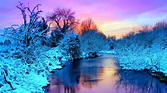 Winter Wonderland Wallpapers - Top Free Winter Wonderland Backgrounds ...