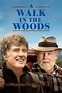 A Walk in the Woods (2015) - Posters — The Movie Database (TMDB)