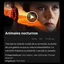 Animales Nocturnos Pelicula Poster - Midnight-Dreamers