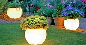 These Glow In the Dark Illuminated Planters Will Make Your Backyard ...