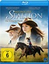 Midnight Stallion - Der König der Pferde Blu-ray | Weltbild.de