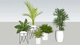 PLANT | 3D Warehouse