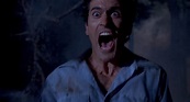 Evil Dead II: A lesson in surviving isolation - Blunt Magazine
