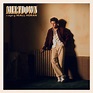 Niall Horan - Meltdown - Reviews - Album of The Year