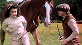 National Velvet – a great old-fashioned family movie | The Movie Blog