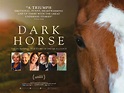 Dark Horse: The Dream Alliance | Film & TV | The Gaitpost