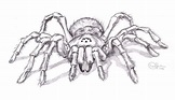 Tattoo Design - Spider by ~midnighter | Spider art, Spider drawing ...