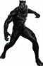Black Panther (Marvel Cinematic Universe) | VS Battles Wiki | Fandom