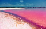 O Misterioso Lago Rosado na Austrália que atrai Milhares de Turistas ...