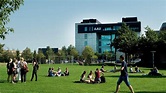 Aalborg Universitet - Universitetet i Sørøst-Norge